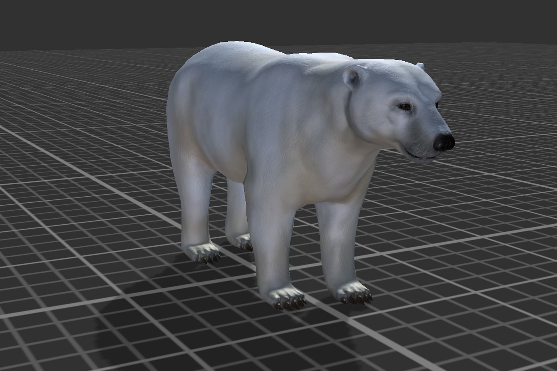 Polar Bear Low-poly 3D model_4