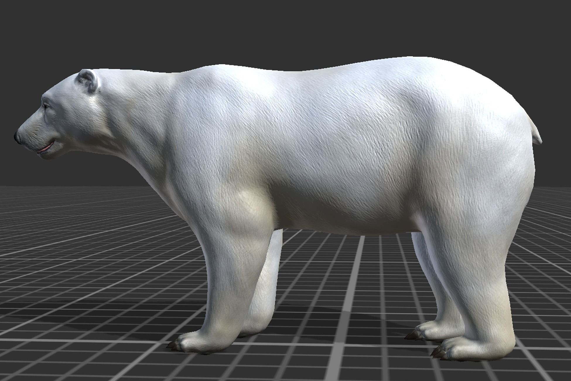 Polar Bear Low-poly 3D model_5