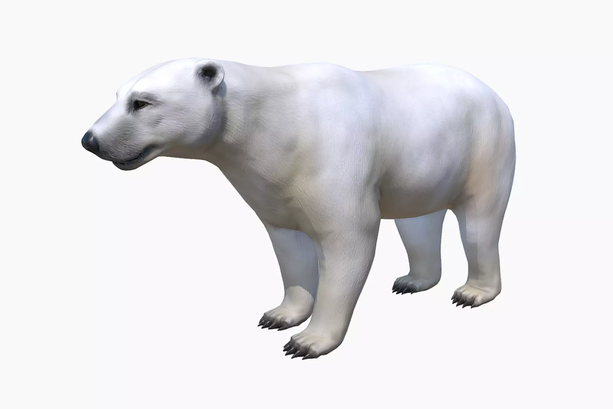 Polar Bear Low-poly 3D model_0