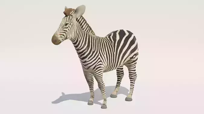 Low-Poly Zebra