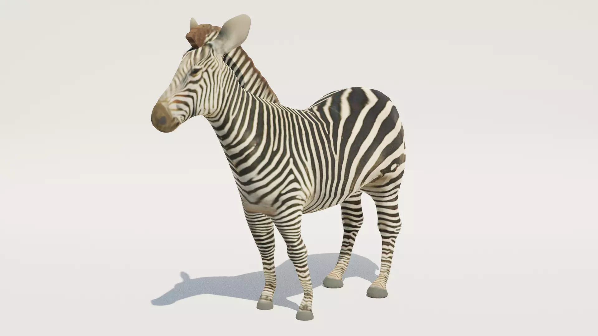 Low-Poly Zebra Low-poly 3D model_0