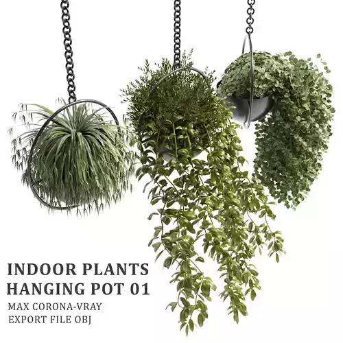 Indoor plants hanging pot 01