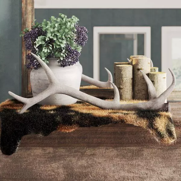 Westerly Weathered Elk Antler Sculpture 3D model