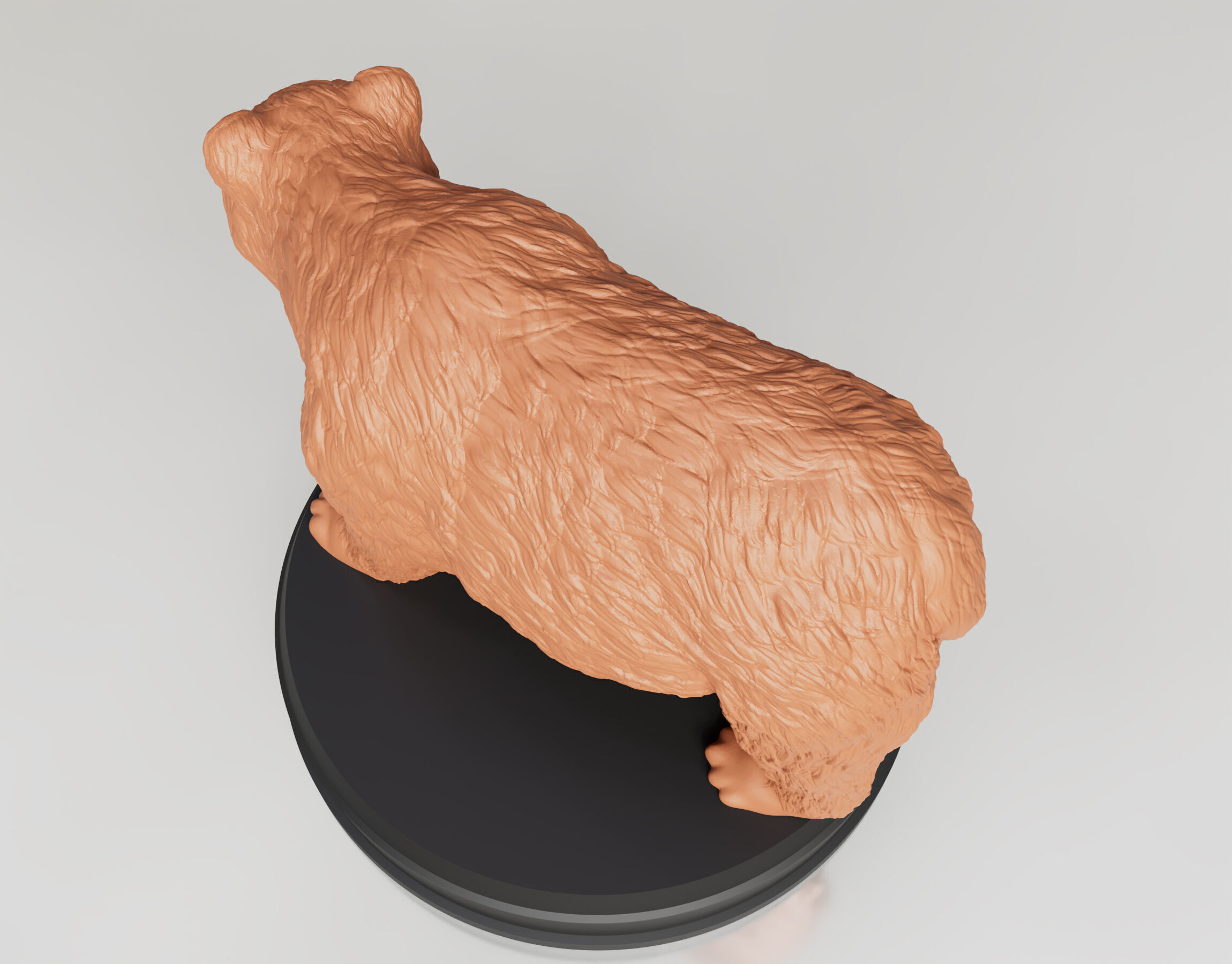 Realistic Bear 3D print model_3