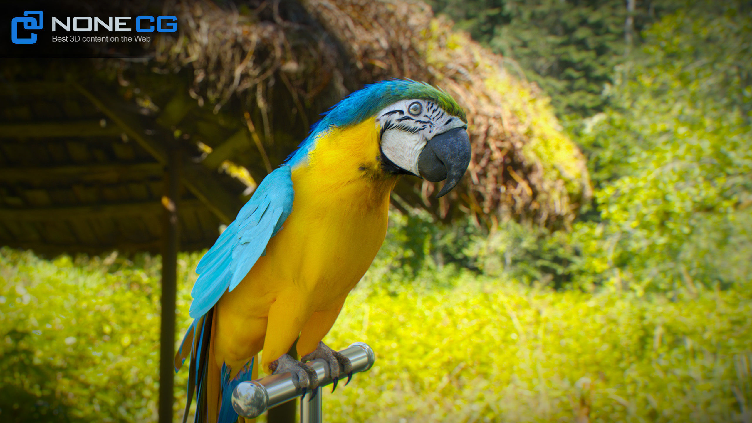 Animated Blue Parrot 3D model_20