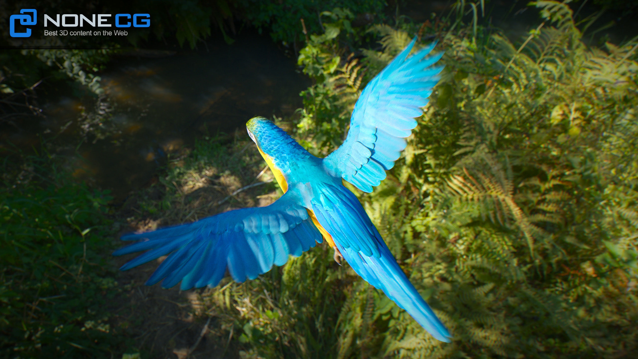 Animated Blue Parrot 3D model_10