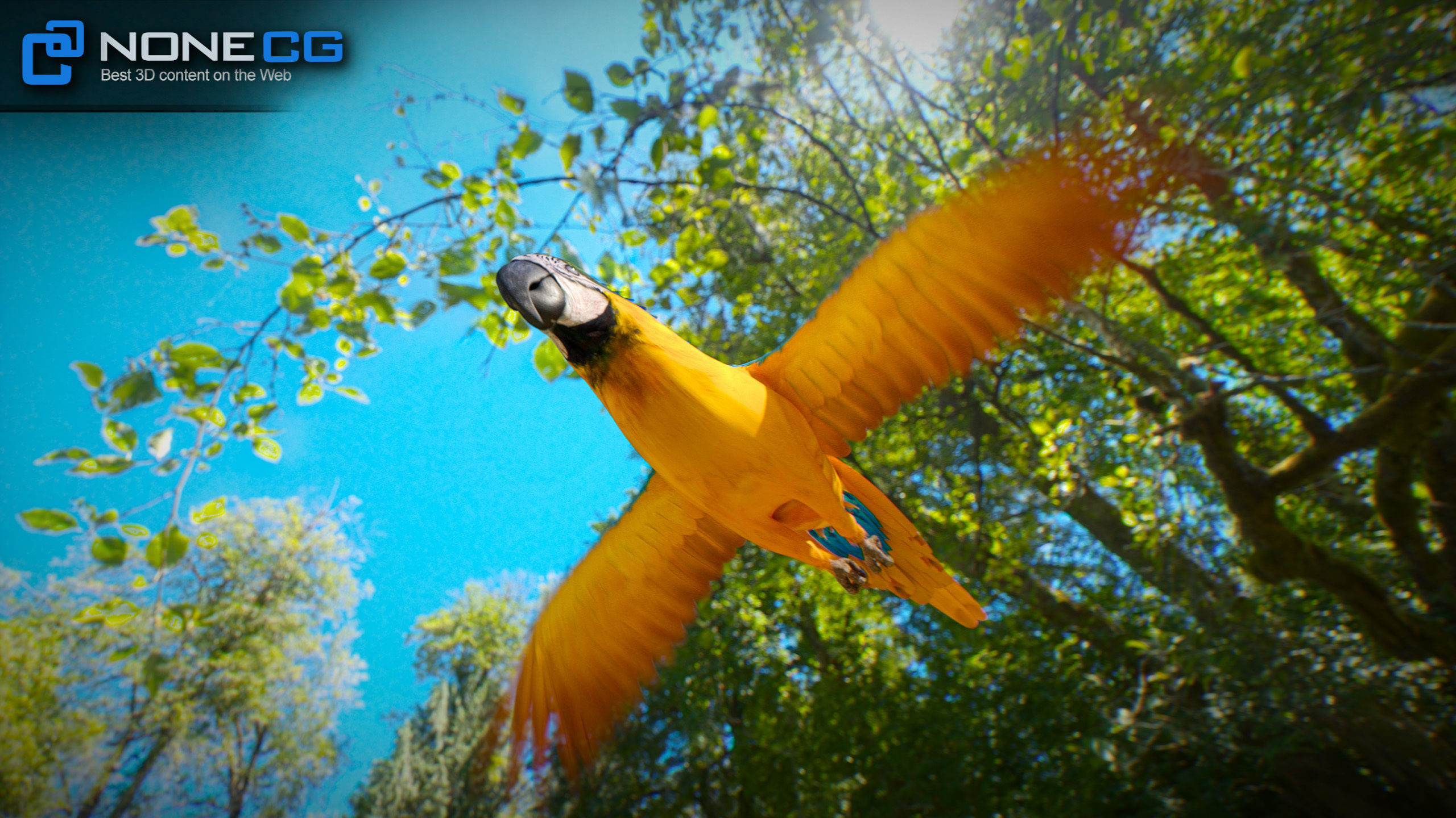 Animated Blue Parrot 3D model_15