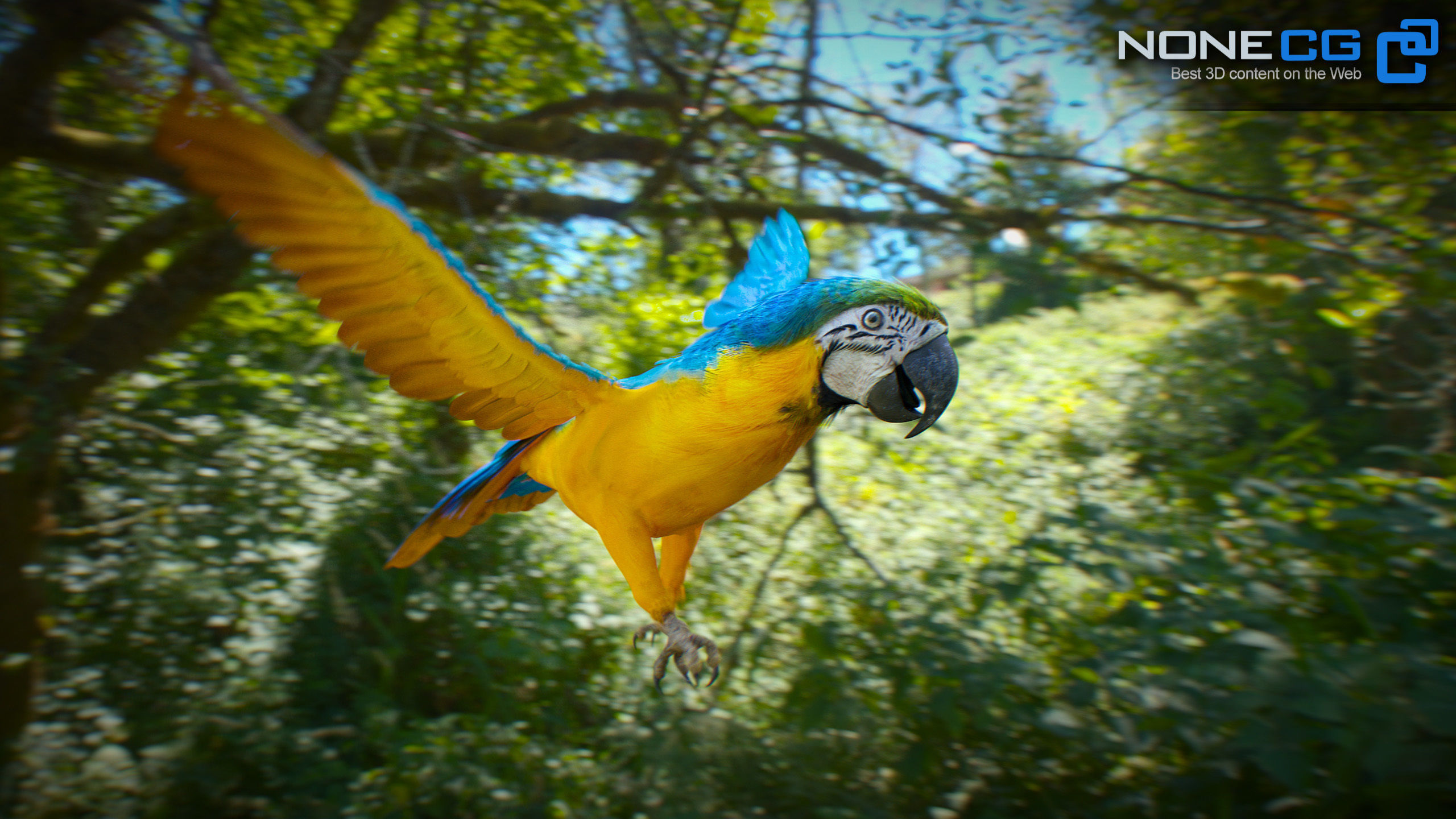 Animated Blue Parrot 3D model_25
