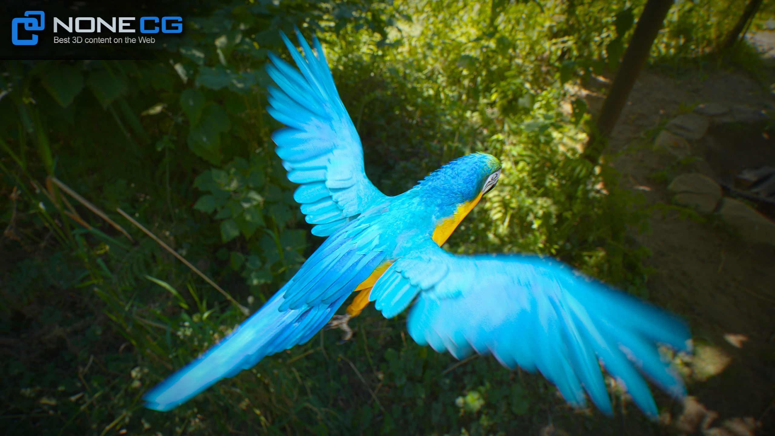 Animated Blue Parrot 3D model_16