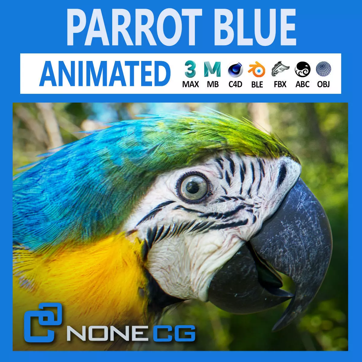 Animated Blue Parrot 3D model_0