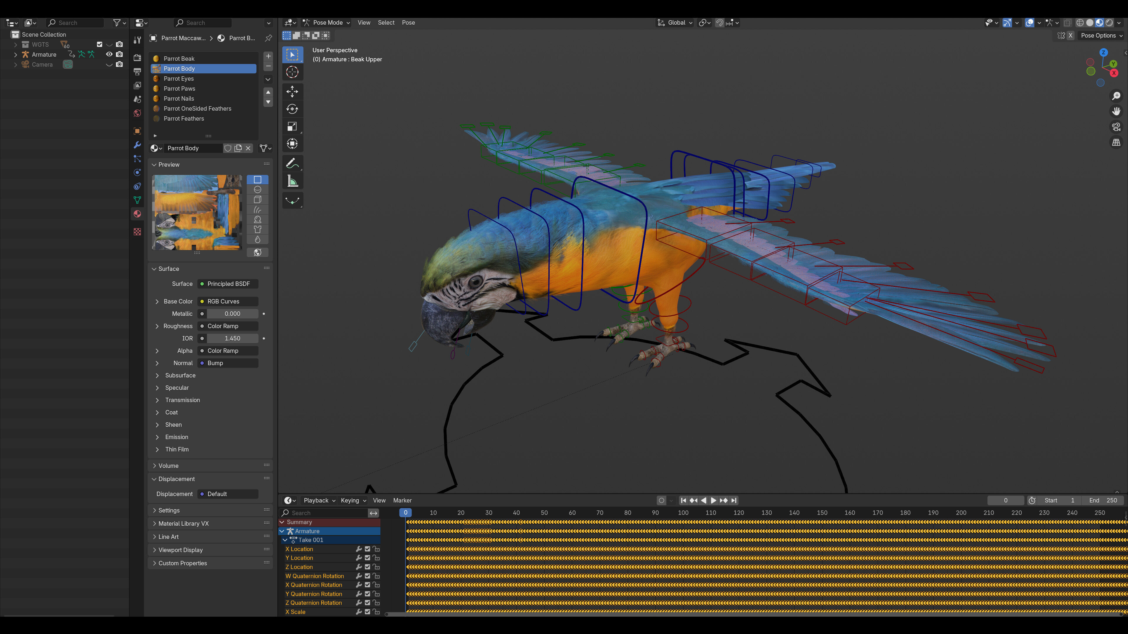 Animated Blue Parrot 3D model_7