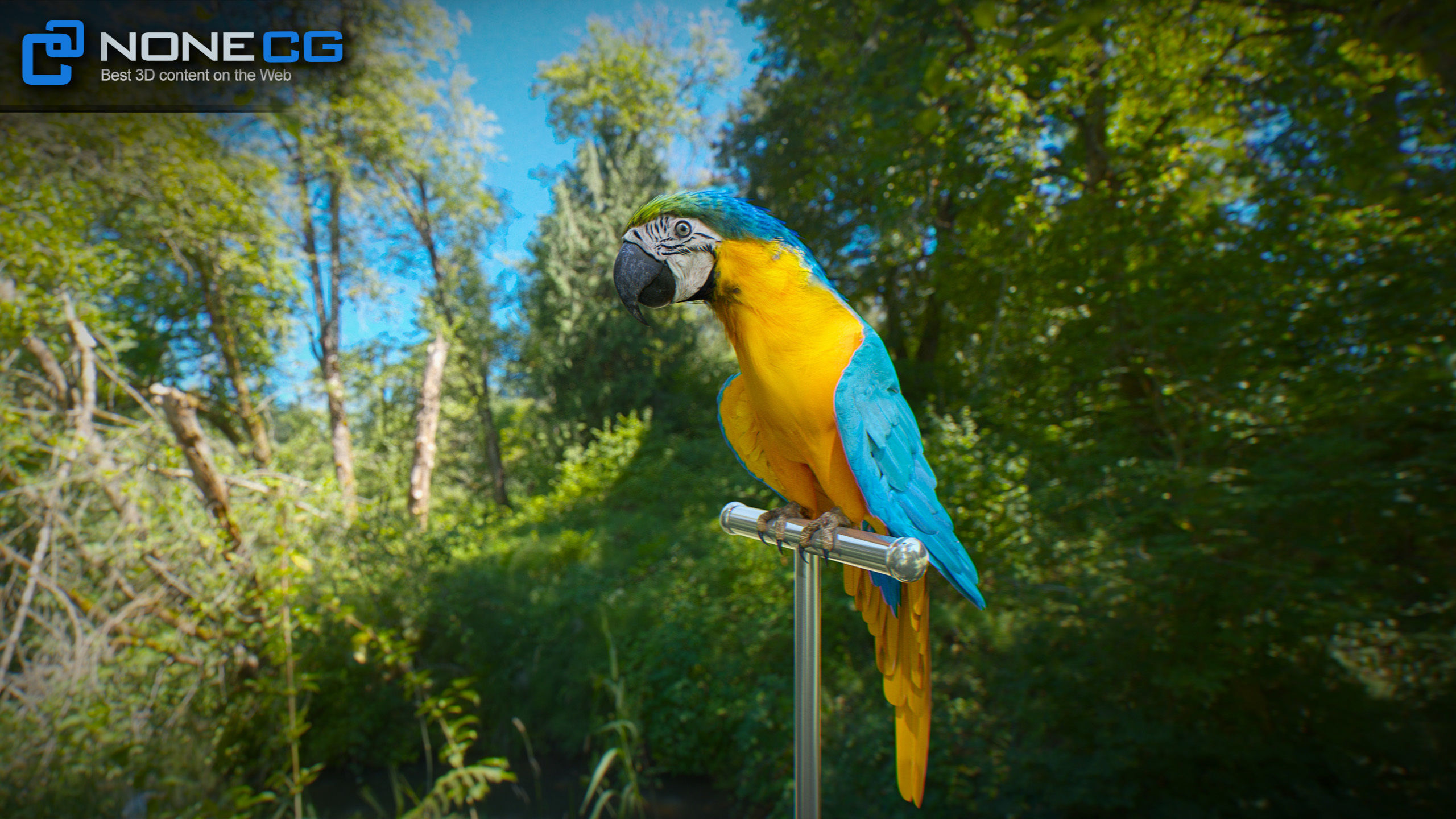 Animated Blue Parrot 3D model_23