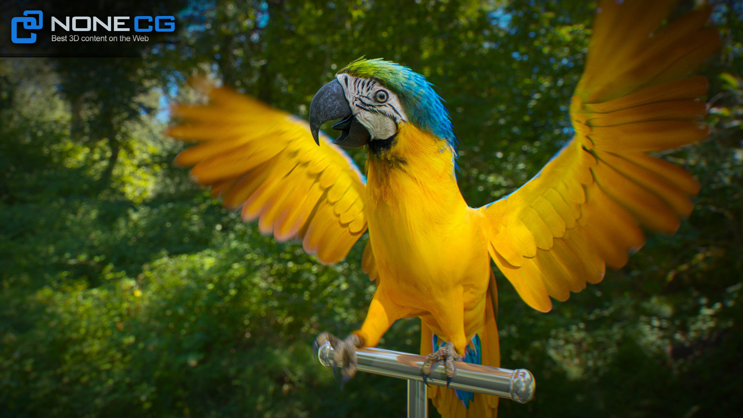 Animated Blue Parrot 3D model_13