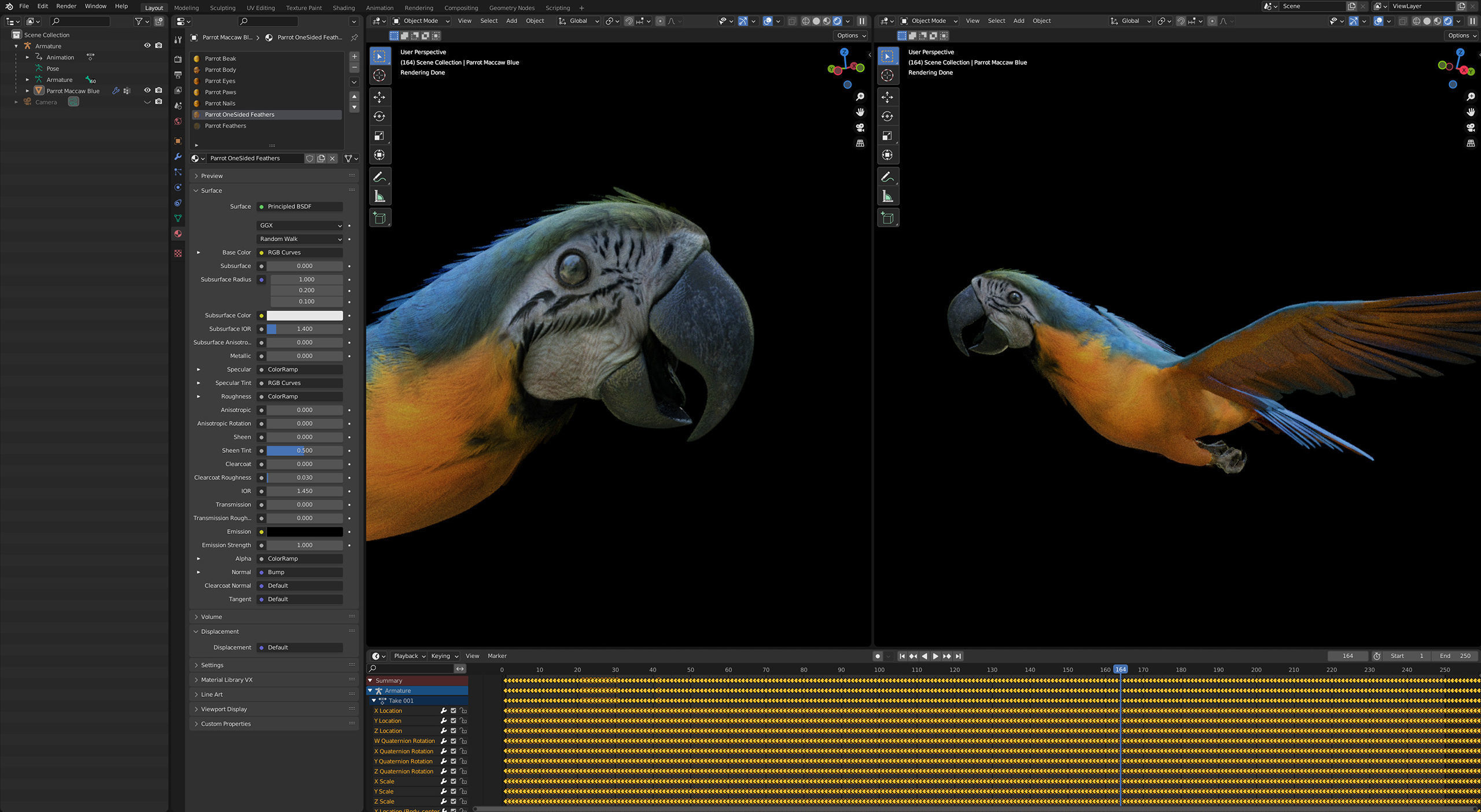 Animated Blue Parrot 3D model_8