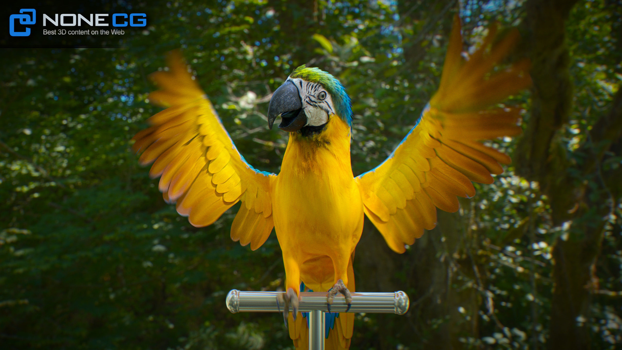 Animated Blue Parrot 3D model_19