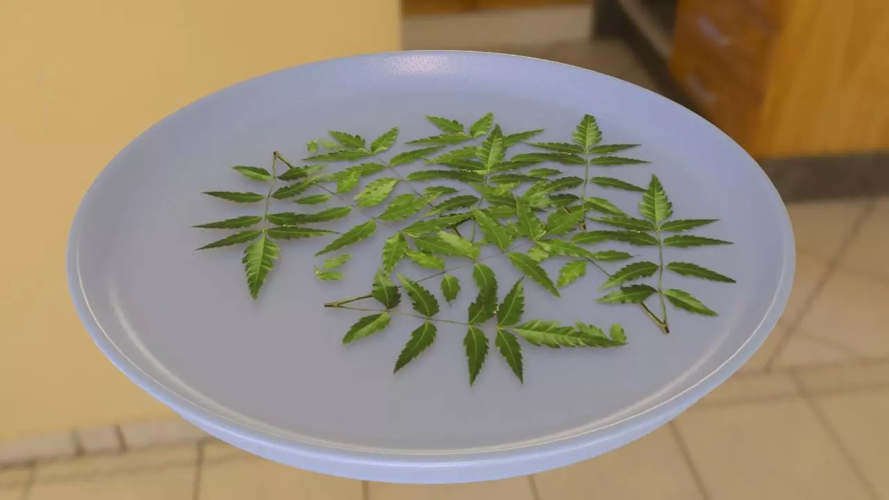 Neem Leaves Low-poly 3D model