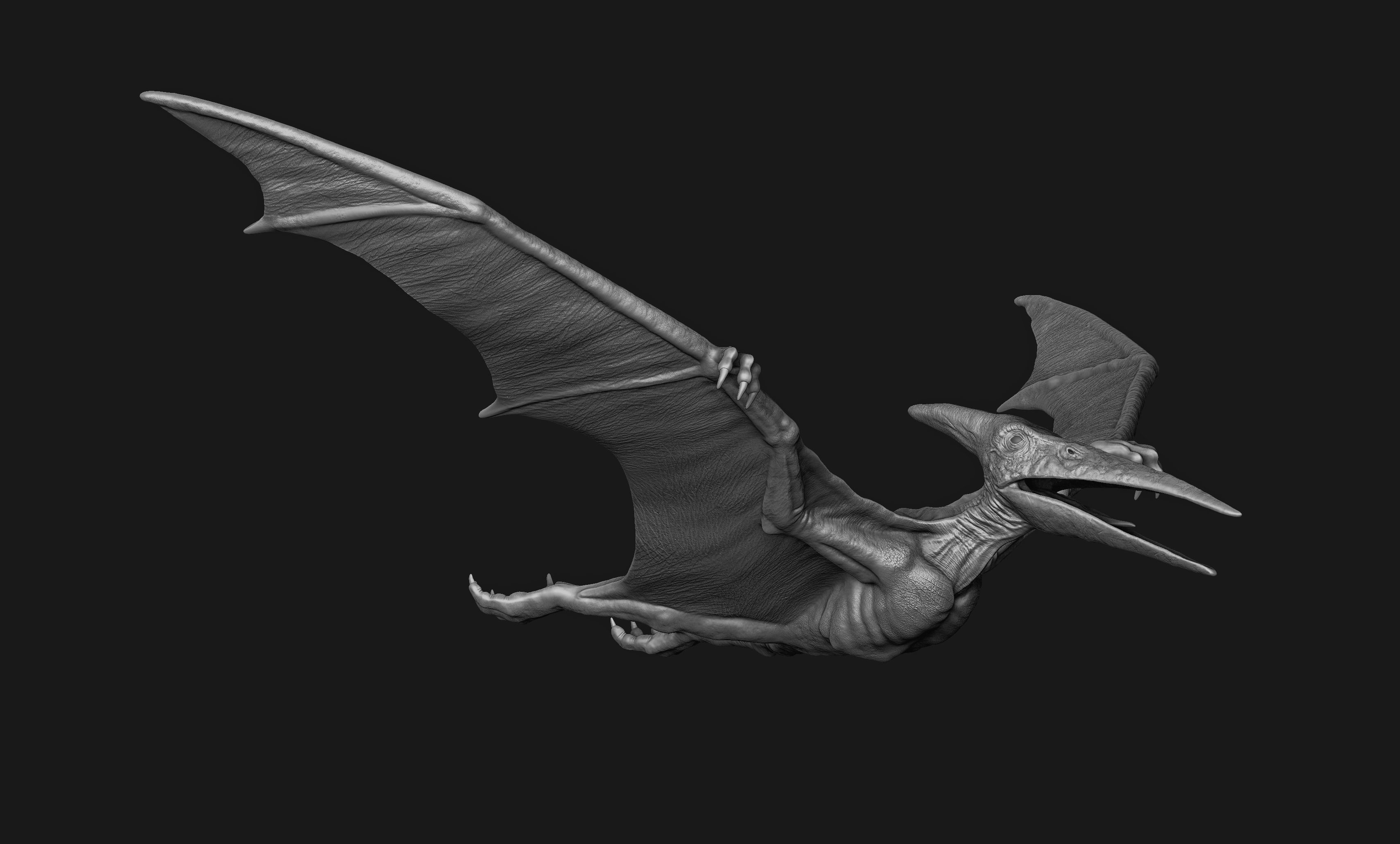 Pteranodon Print Model dragon 3D print model_1