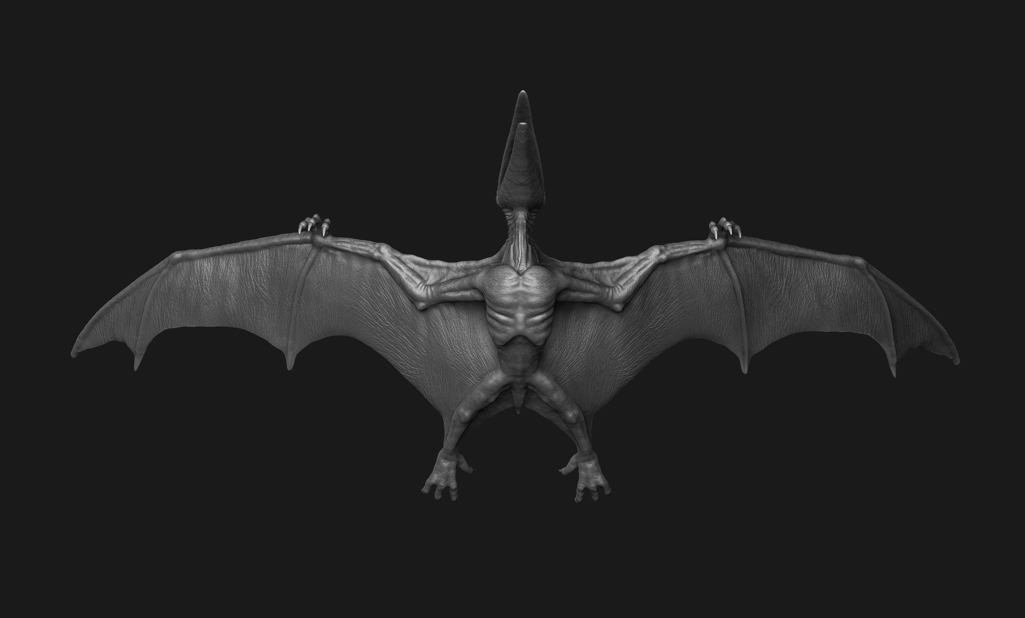 Pteranodon Print Model dragon 3D print model_4