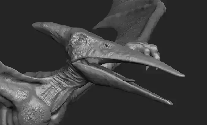 Pteranodon Print Model dragon