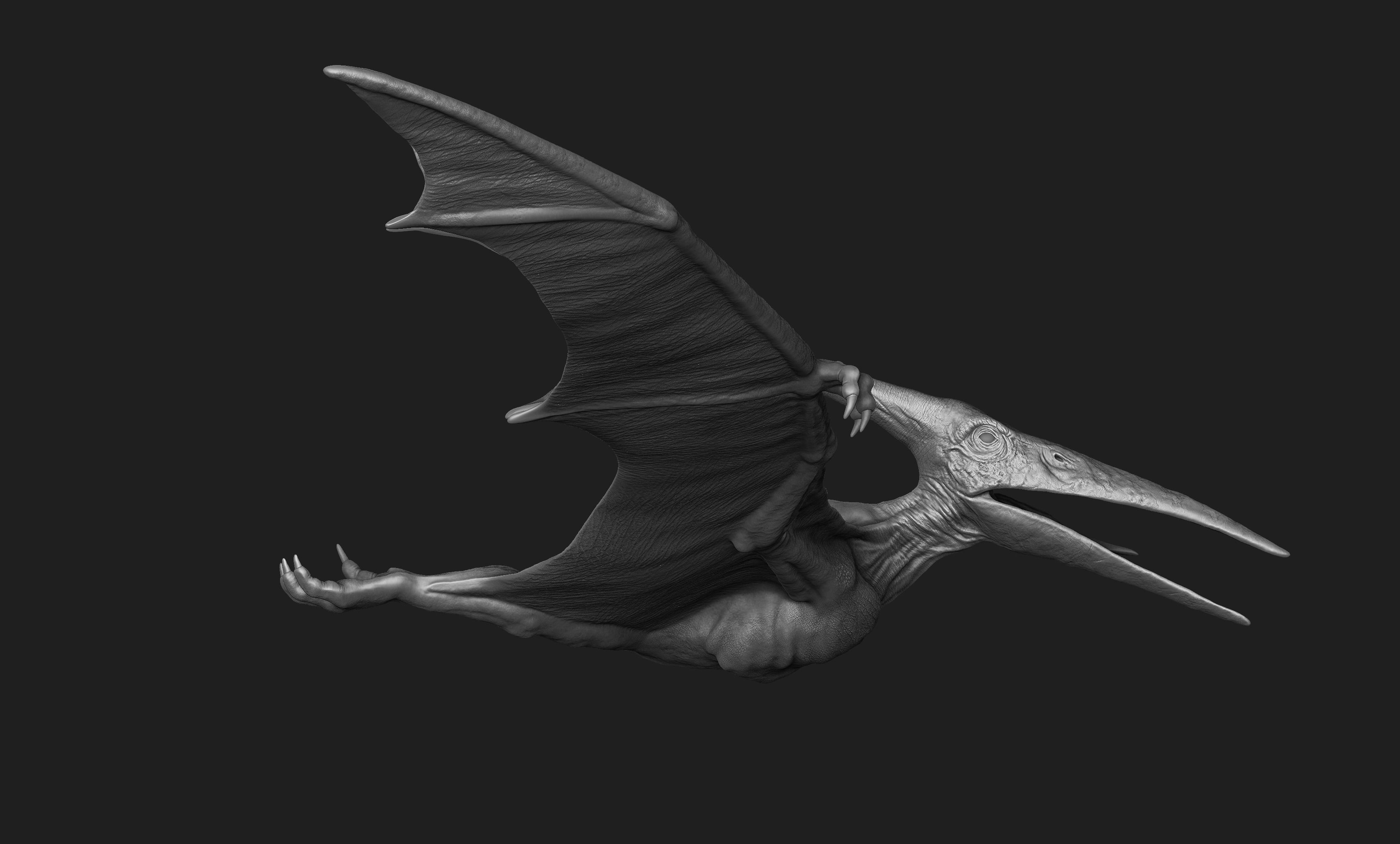 Pteranodon Print Model dragon 3D print model_3