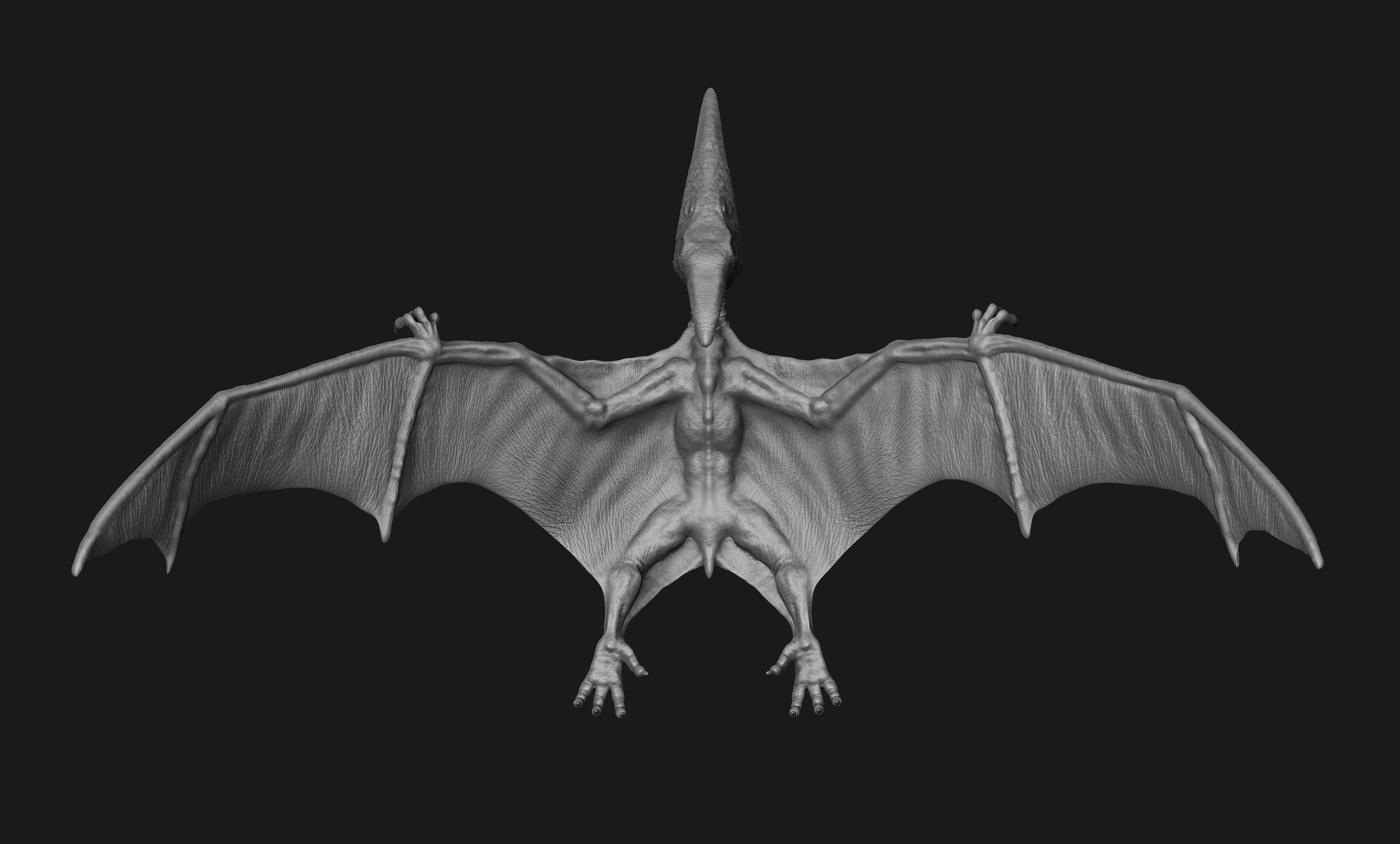 Pteranodon Print Model dragon 3D print model_5