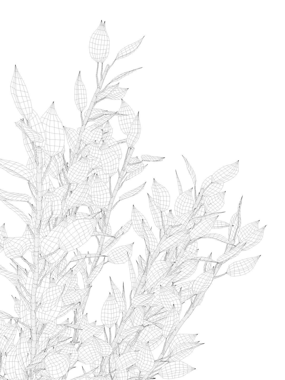 Red Eucalyptus Leaves in Glass Vase 3D model_5