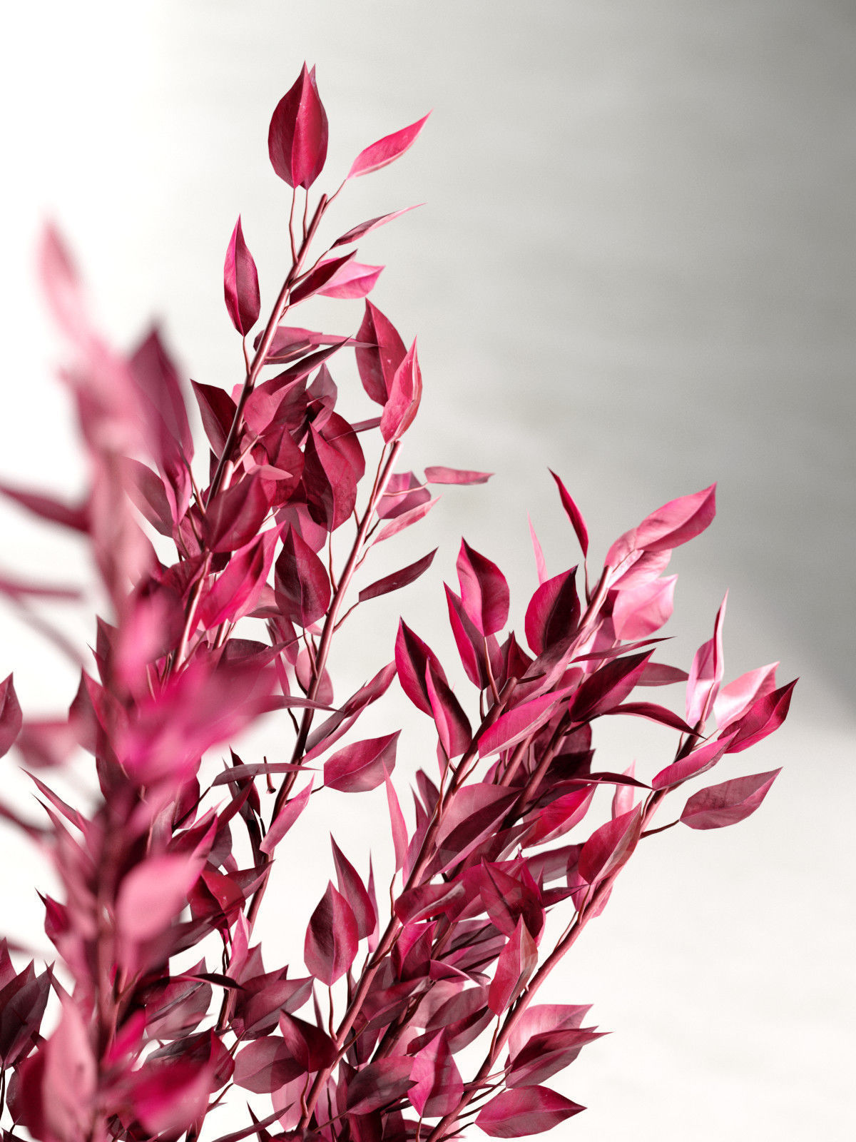 Red Eucalyptus Leaves in Glass Vase 3D model_2