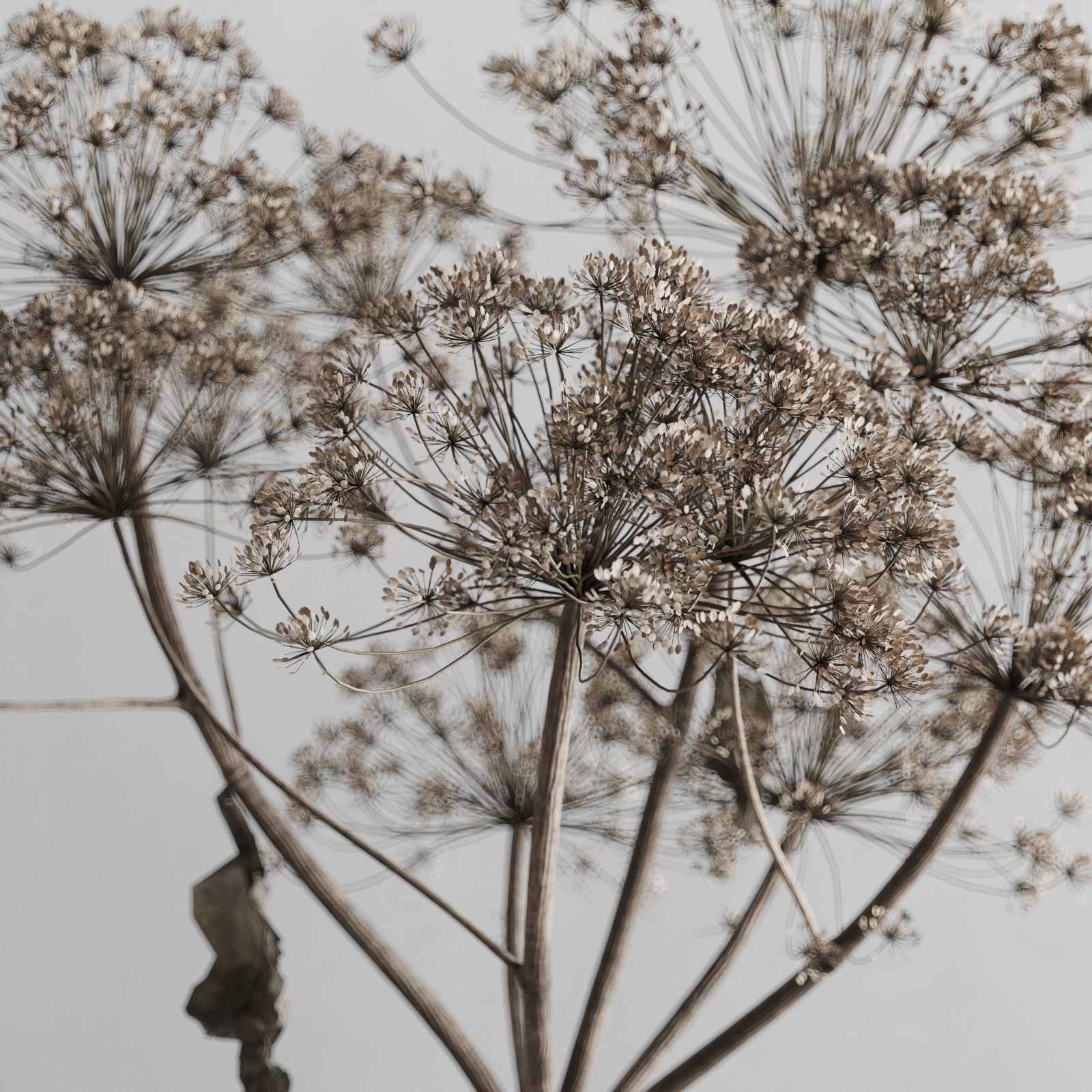 Decorative Set In A Rustic Style 3D model_3