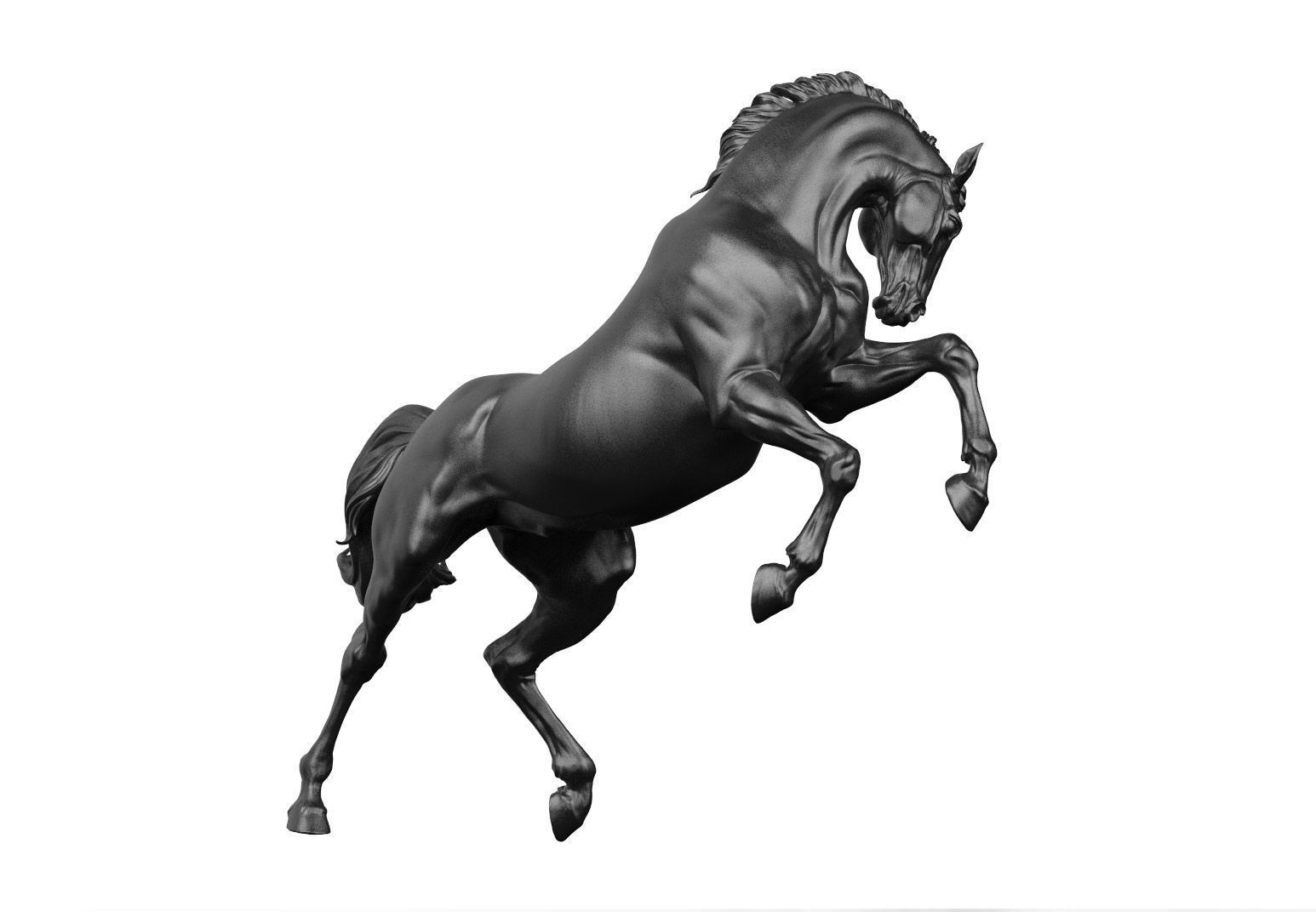 Horse - 3D Sculpting - High Poly  3D print model_8