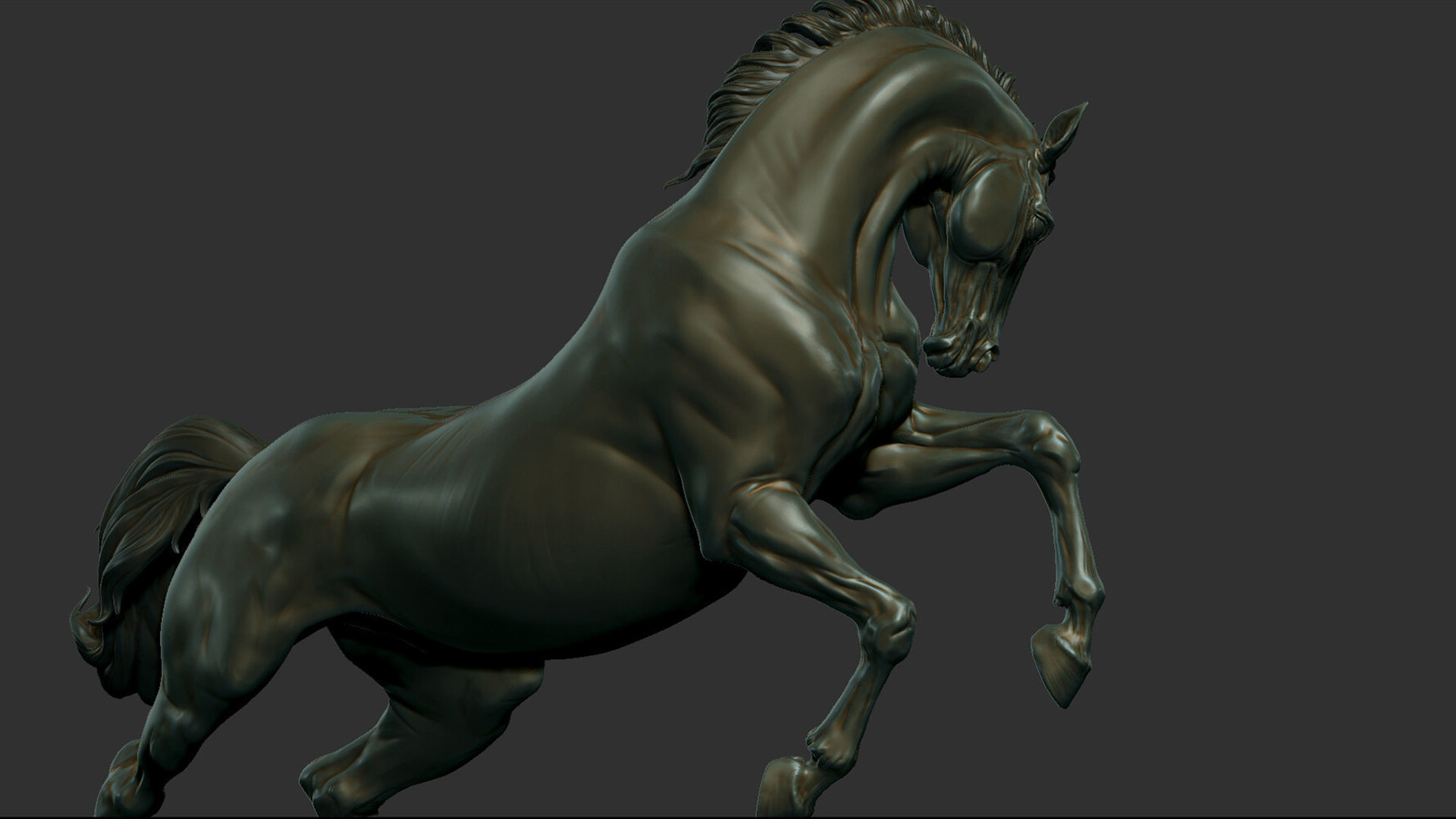 Horse - 3D Sculpting - High Poly  3D print model_3