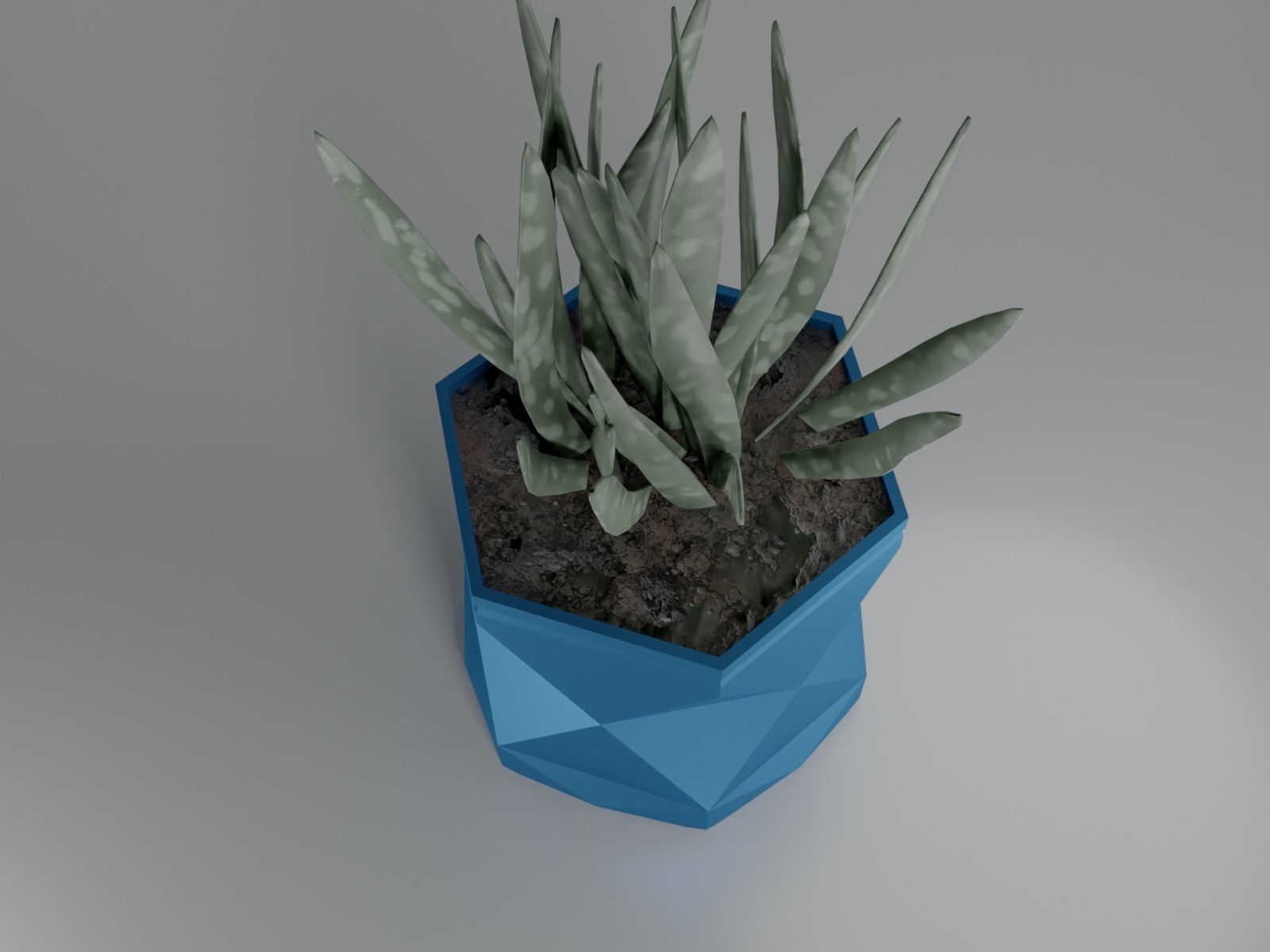 pot plant succulent 16 3D print model_14
