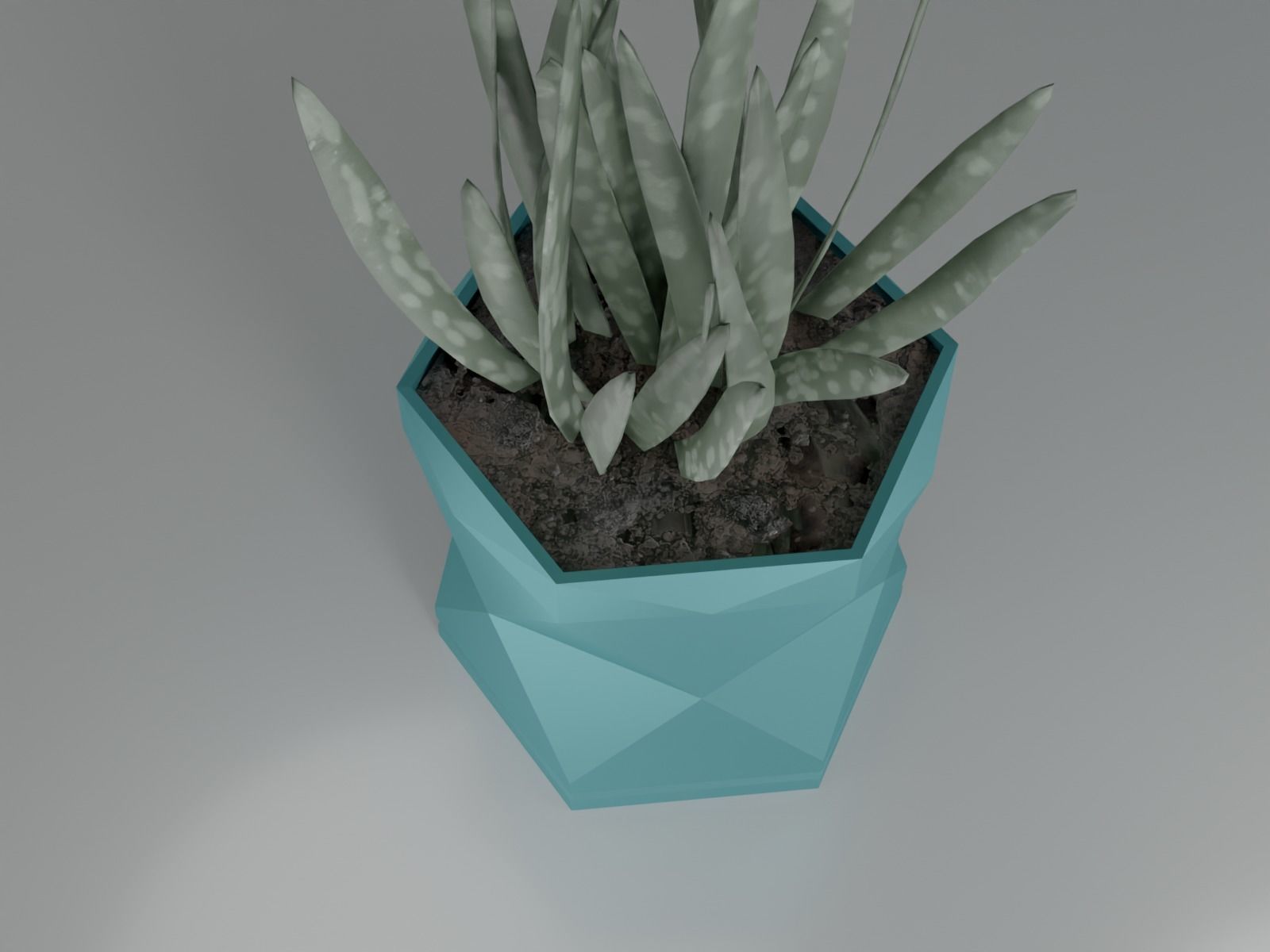 pot plant succulent 16 3D print model_8
