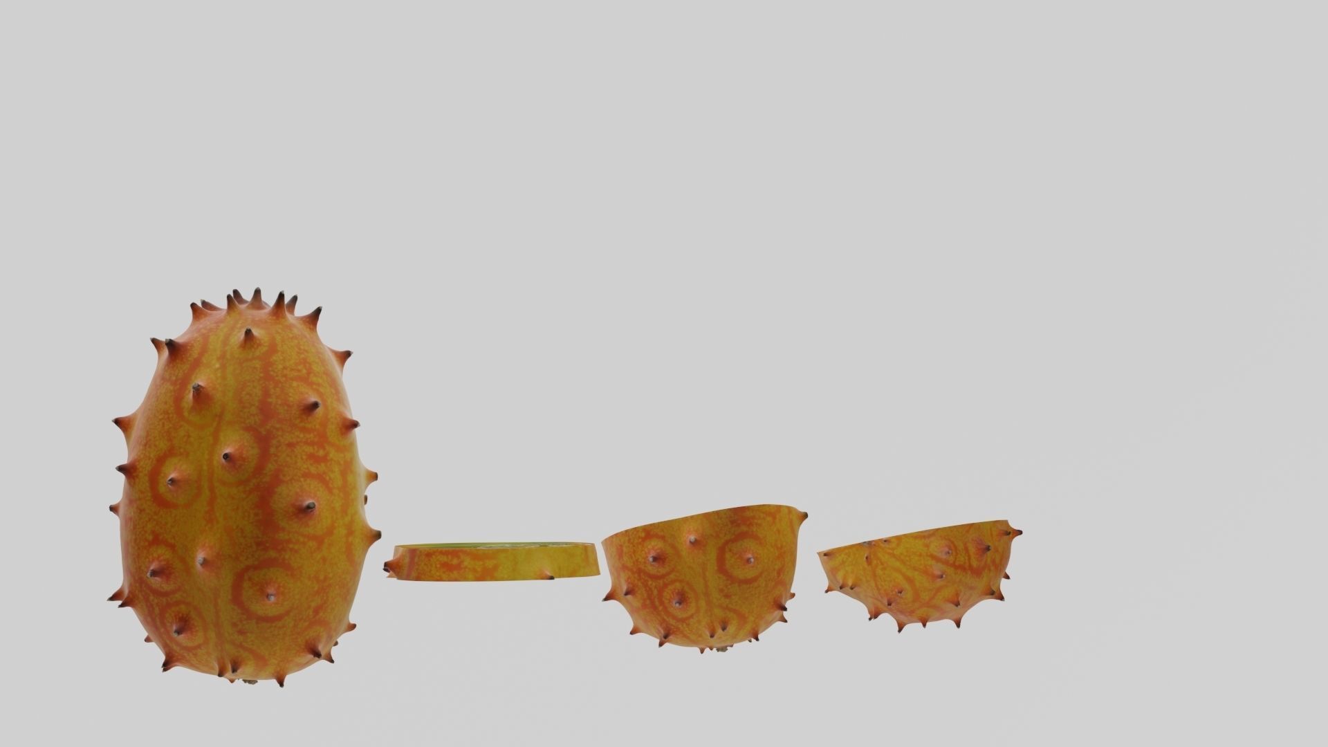 Kiwano cactus 3D model_33