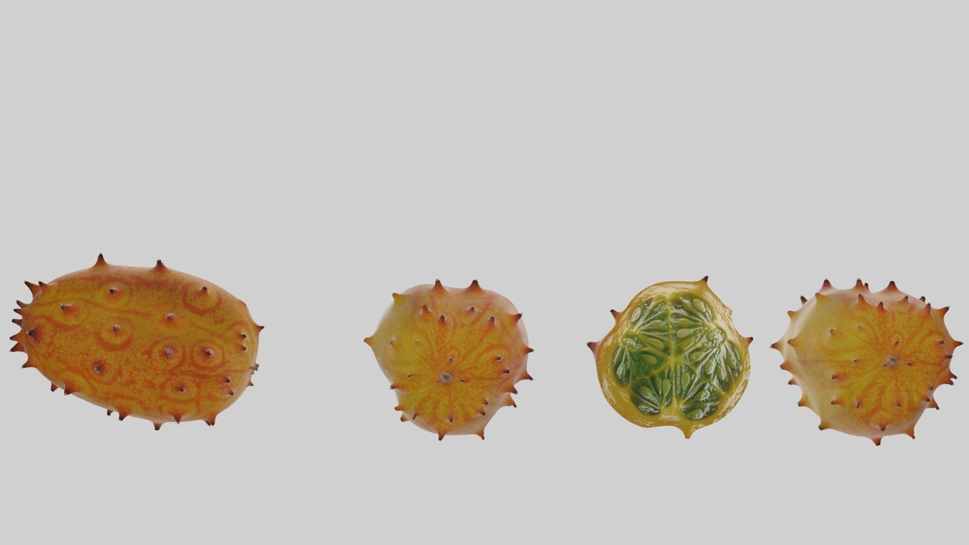 Kiwano cactus 3D model_17