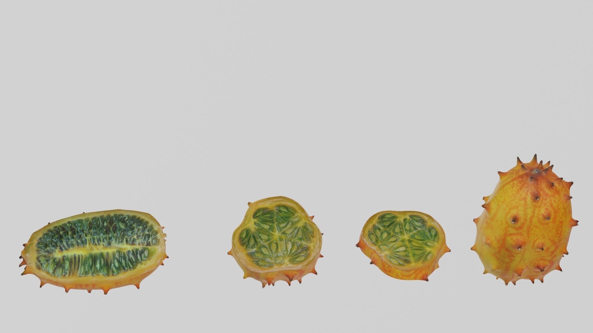 Kiwano cactus 3D model_2