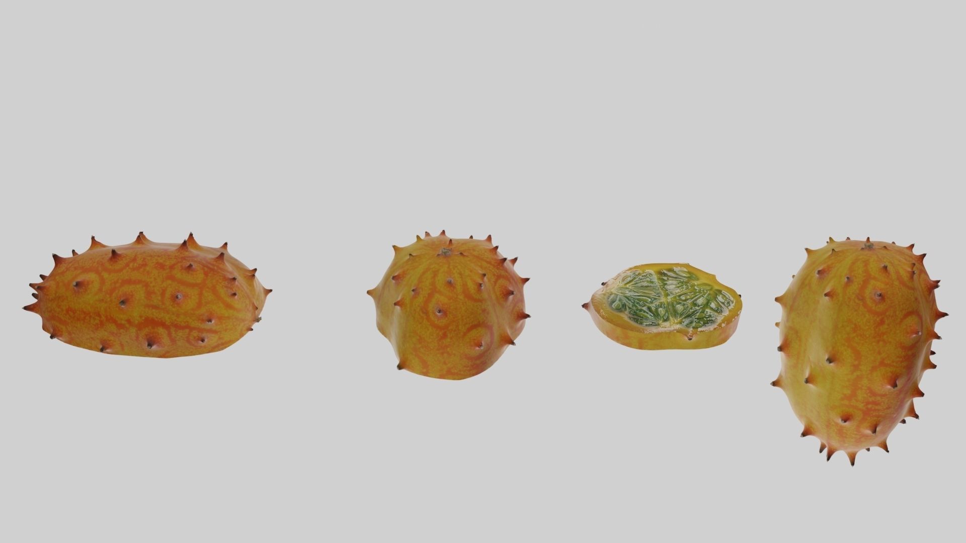 Kiwano cactus 3D model_13