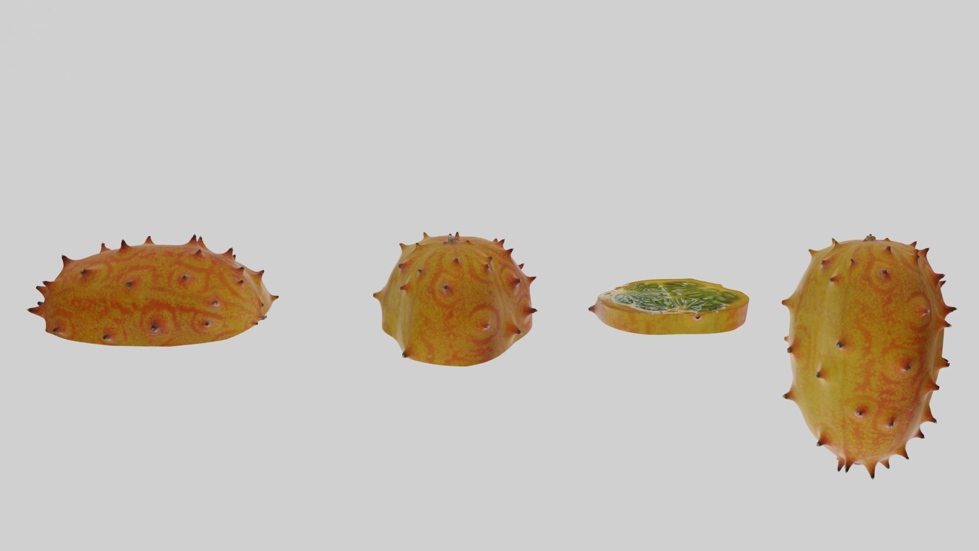 Kiwano cactus 3D model_12