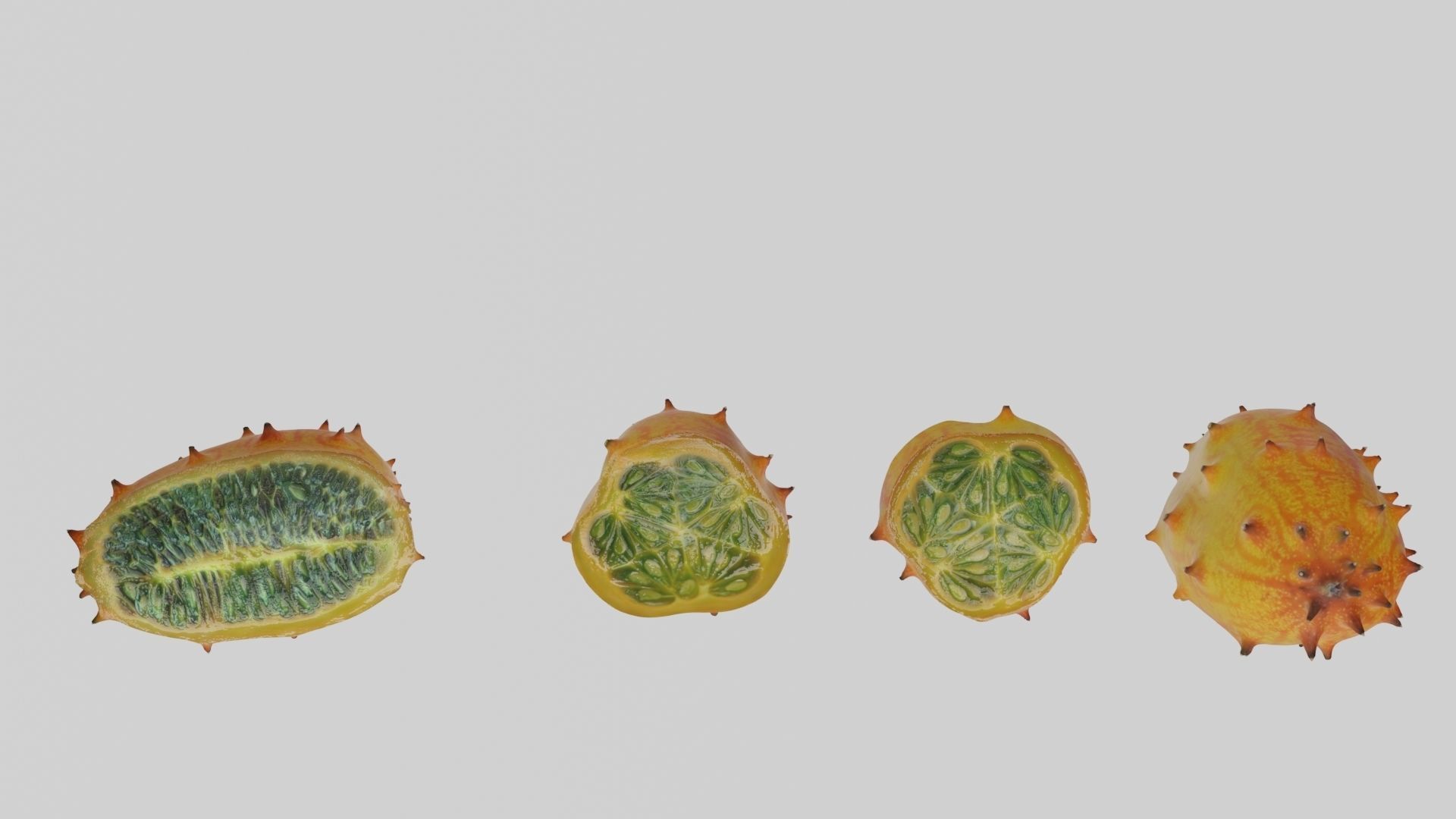 Kiwano cactus 3D model_6