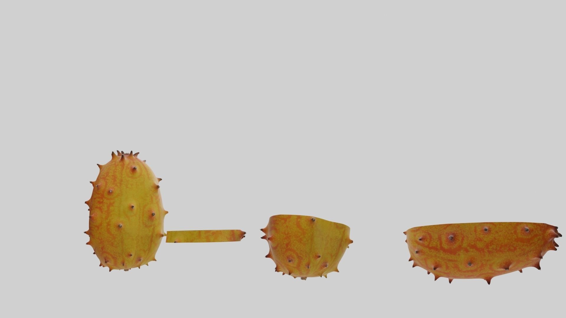 Kiwano cactus 3D model_38