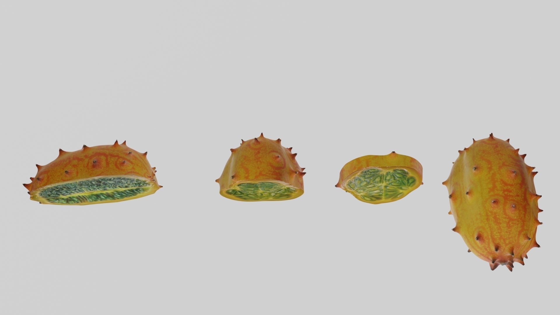 Kiwano cactus 3D model_9