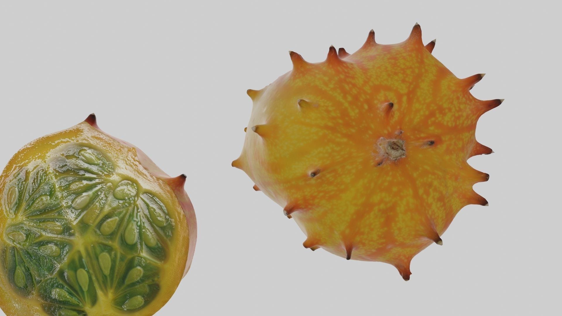 Kiwano cactus 3D model_53