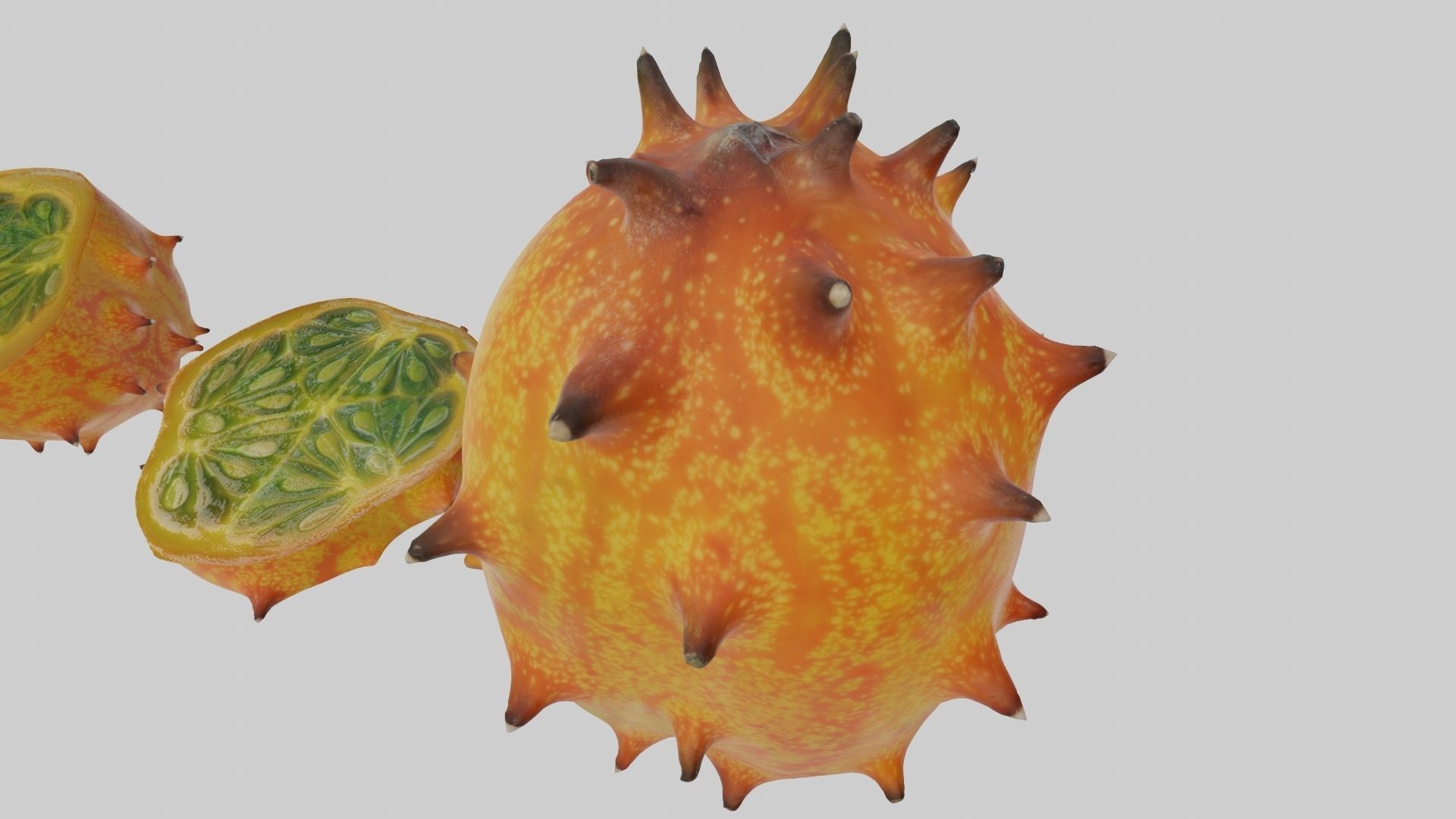 Kiwano cactus 3D model_52