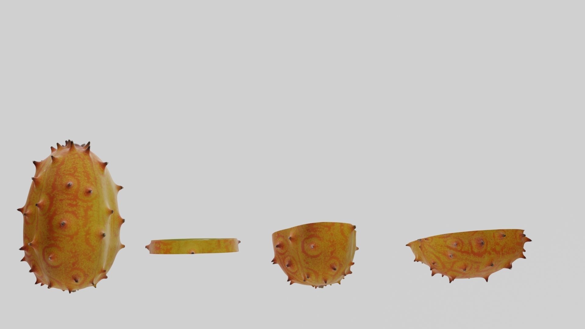 Kiwano cactus 3D model_35