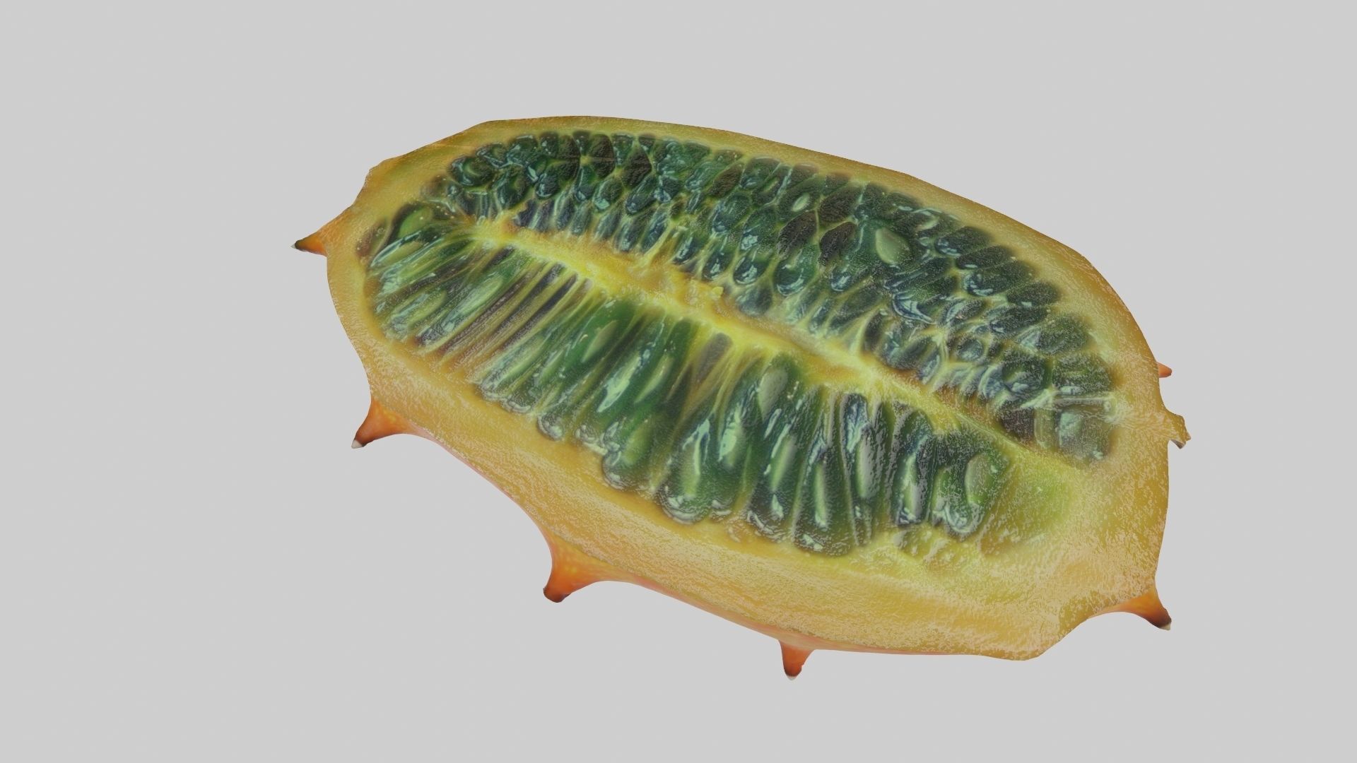Kiwano cactus 3D model_49