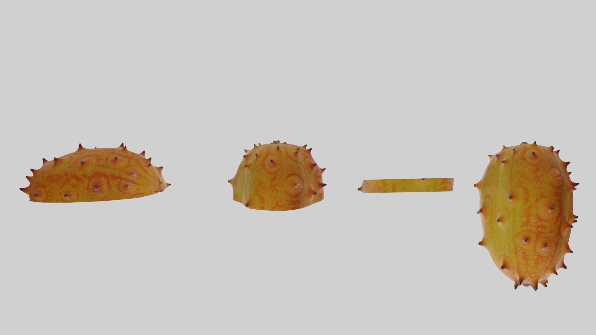 Kiwano cactus 3D model_11