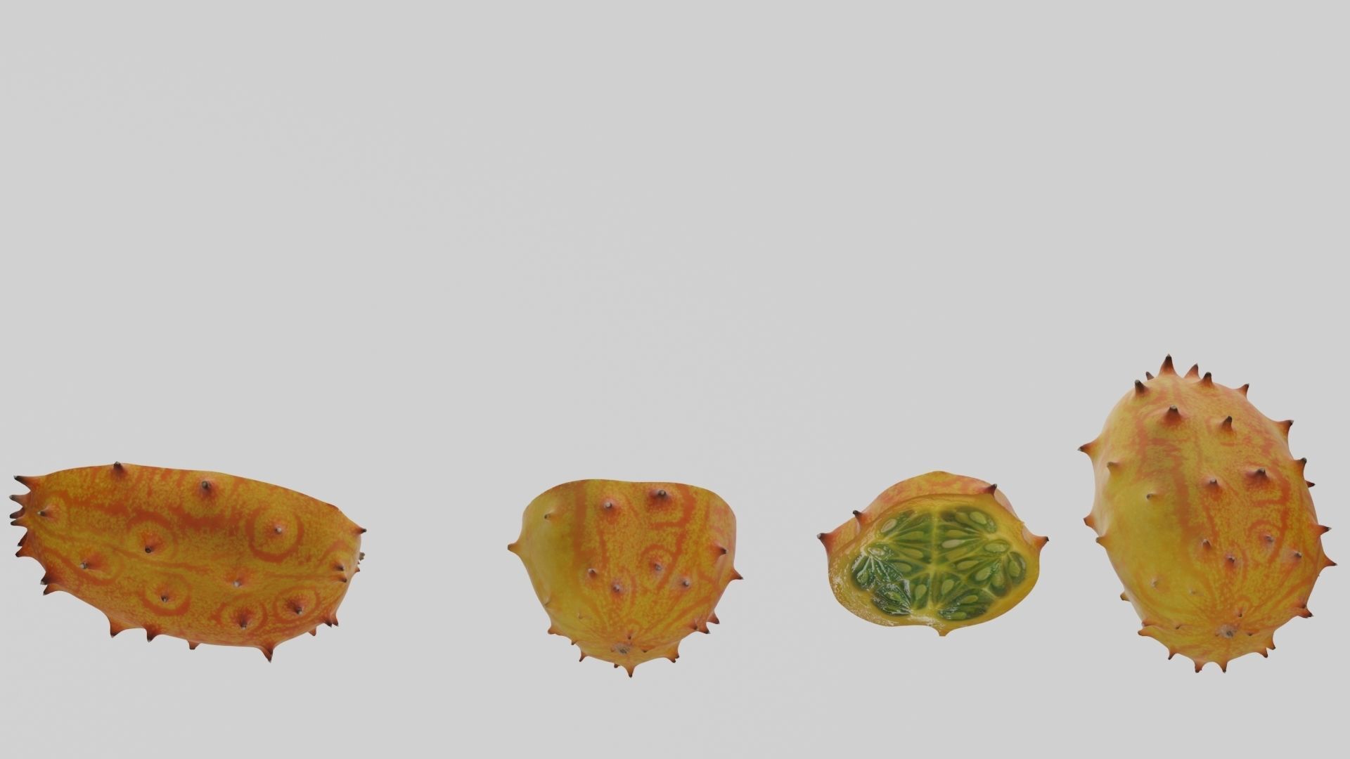 Kiwano cactus 3D model_20