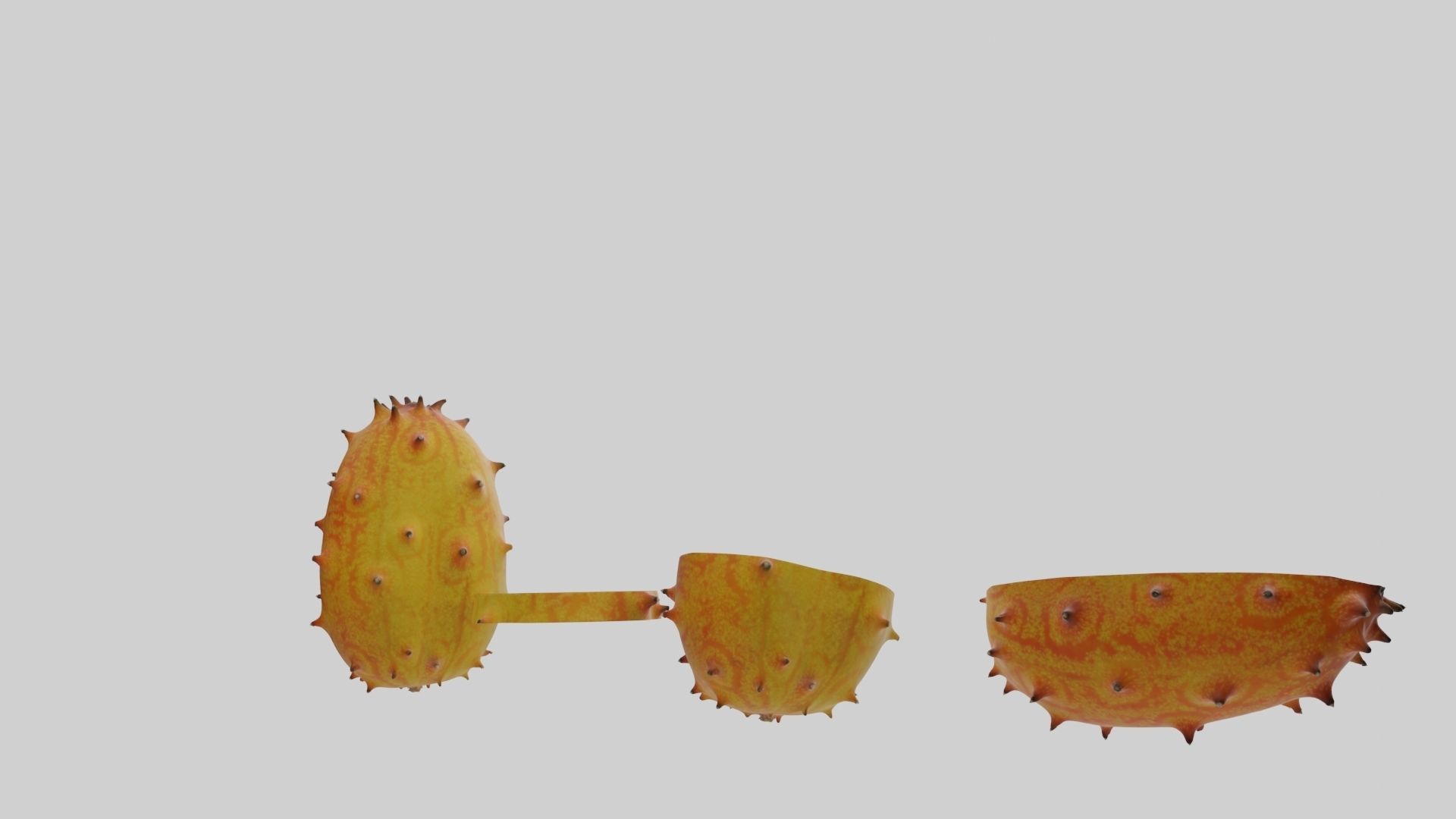 Kiwano cactus 3D model_39
