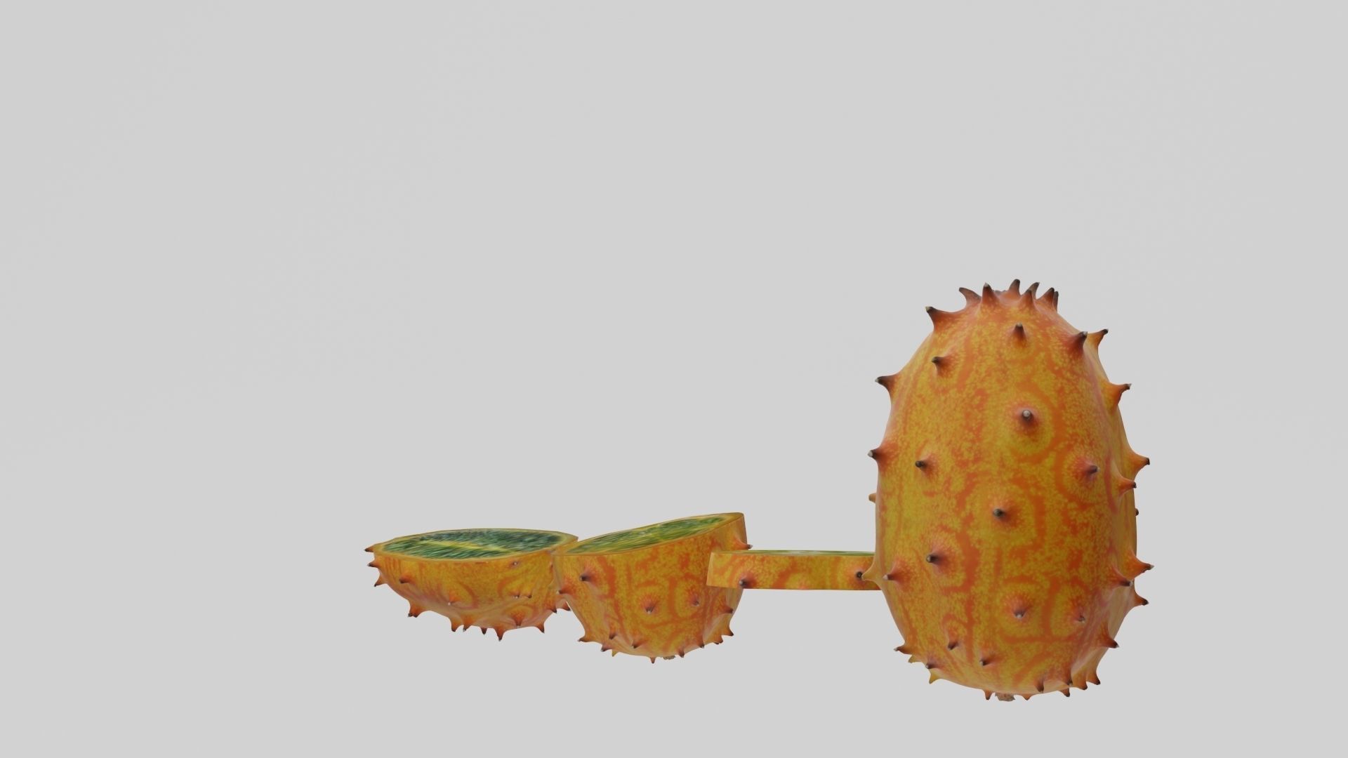 Kiwano cactus 3D model_28