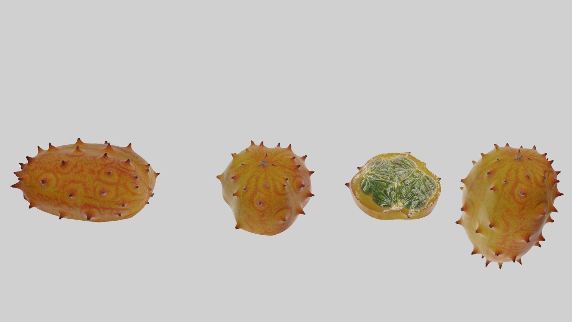 Kiwano cactus 3D model_14