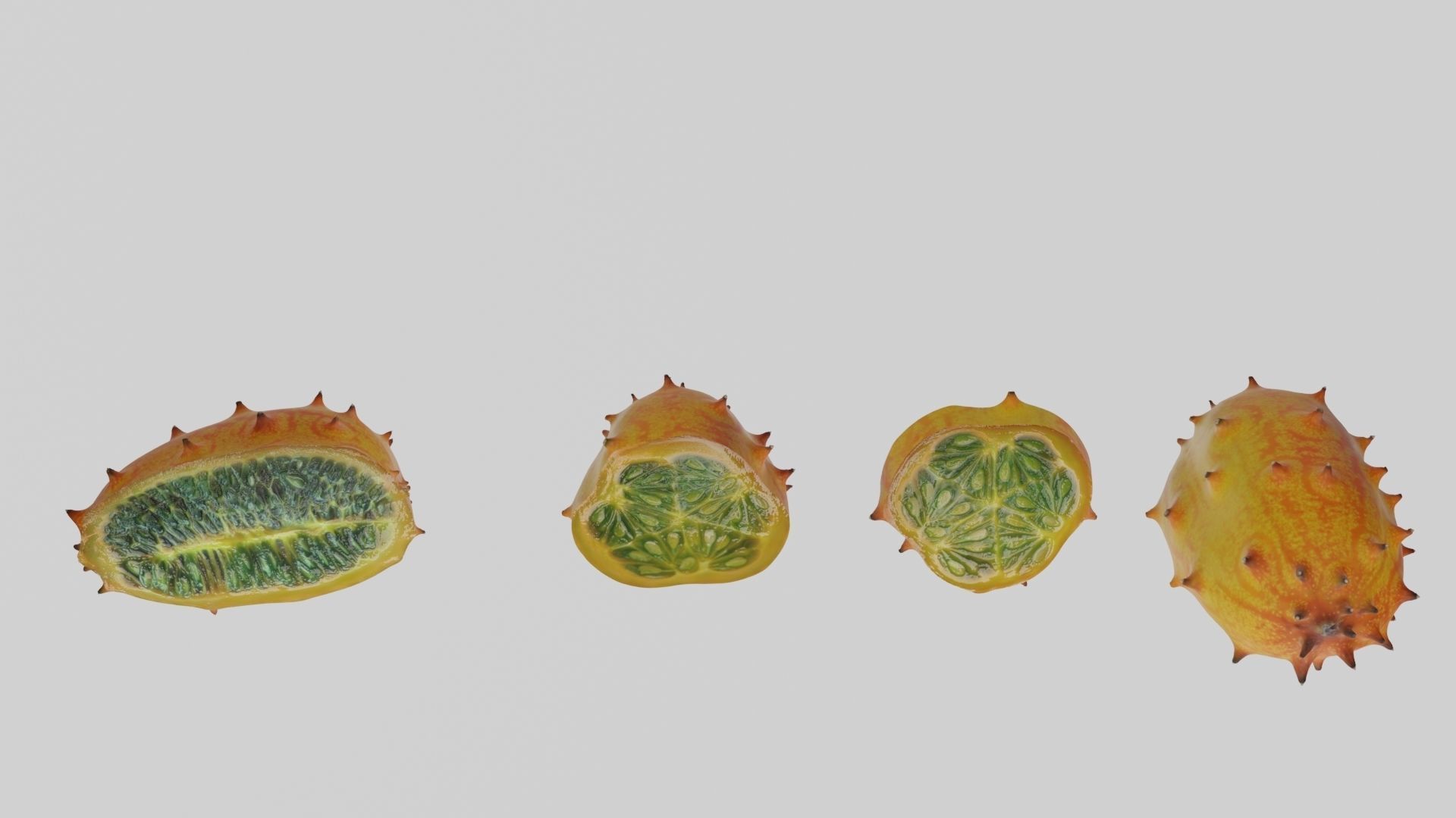 Kiwano cactus 3D model_7